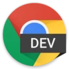 Chrome Dev Free Download For Window